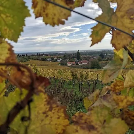 Le Kelsch, Loft Duplex 130m2, Proche Vignoble Apartamento