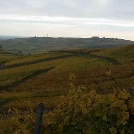 Apartamento Le Kelsch, Loft Duplex 130m2, Proche Vignoble