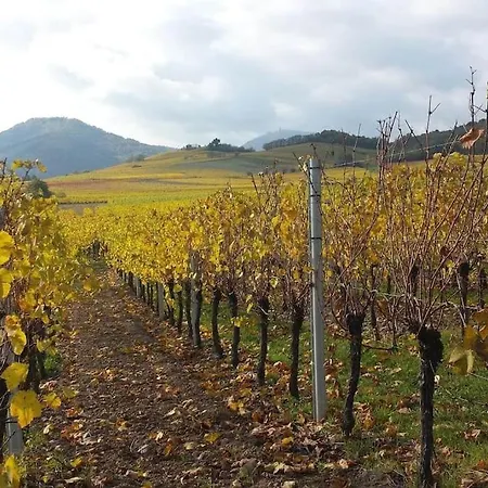 Apartamento Le Kelsch, Loft Duplex 130m2, Proche Vignoble Marlenheim