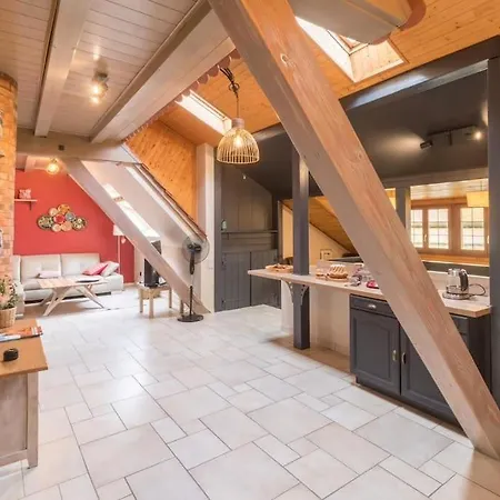 Le Kelsch, Loft Duplex 130m2 Avec Sauna, Proche Vignoble * Marlenheim