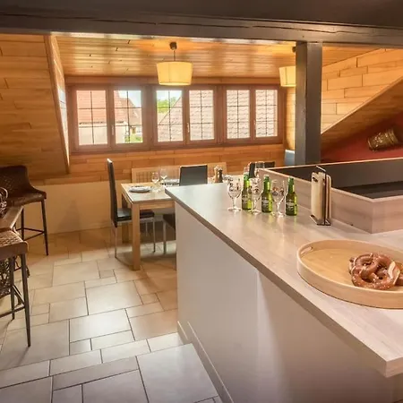 6 Personnes, Vignoble Proche De Strasbourg Avec Sauna 公寓 马勒海姆