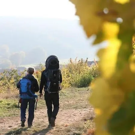 Le Kelsch, Loft Duplex 130m2, Proche Vignoble * Marlenheim