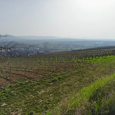Lejlighed 6 Personnes, Vignoble Proche De Strasbourg Avec Sauna *