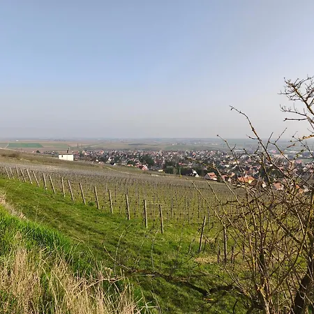 Lejlighed 6 Personnes, Vignoble Proche De Strasbourg Avec Sauna Marlenheim