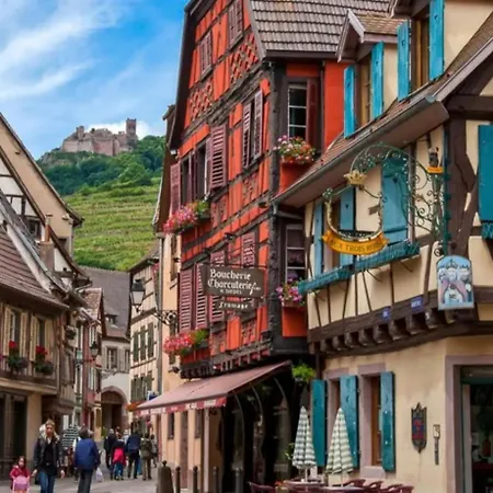 Lägenhet Logement 6 Personnes, Vignoble Proche De Strasbourg Avec Sauna