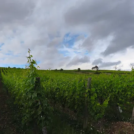6 Personnes, Vignoble Proche De Strasbourg Avec Sauna Marlenheim
