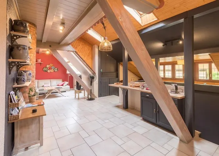 Logement 6 Personnes, Vignoble Proche De Strasbourg Avec Sauna * Marlenheim