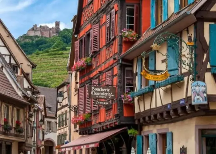 Lägenhet Logement 6 Personnes, Vignoble Proche De Strasbourg Avec Sauna