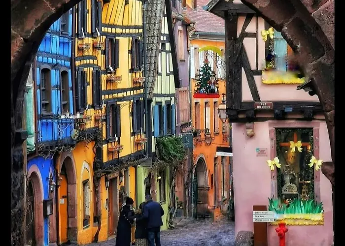 Logement 6 Personnes, Vignoble Proche De Strasbourg Avec Sauna *